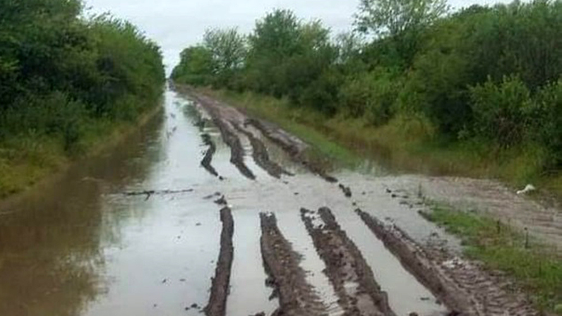 Comunicado de La Rural: «hacemos urgente un pedido al Poder Ejecutivo y Legislativo»