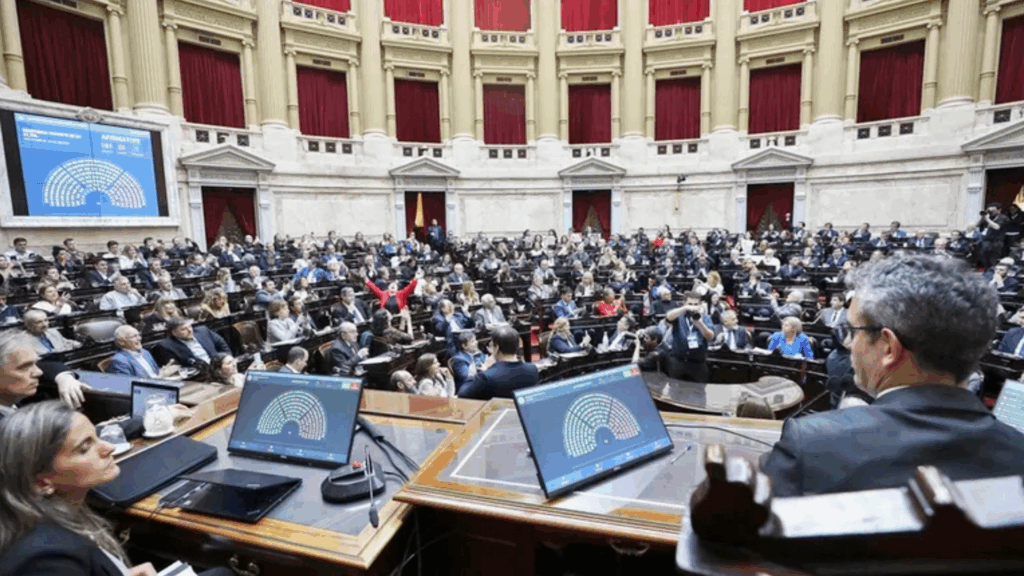 Diputados rechazó el veto del Ejecutivo a las leyes de financiamiento en pediatría y universitario