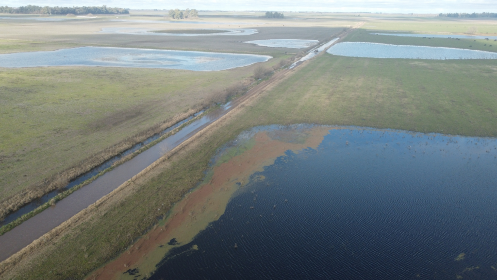 Las inundaciones en el partido de 9 de Julio dejaron una pérdida económica equivalente amás de 115.000 sueldos