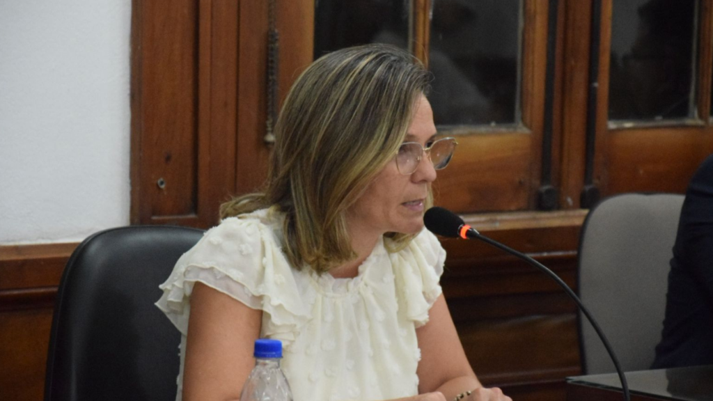 Gentile brindó el discurso de inauguración de las sesiones ordinarias en el HCD