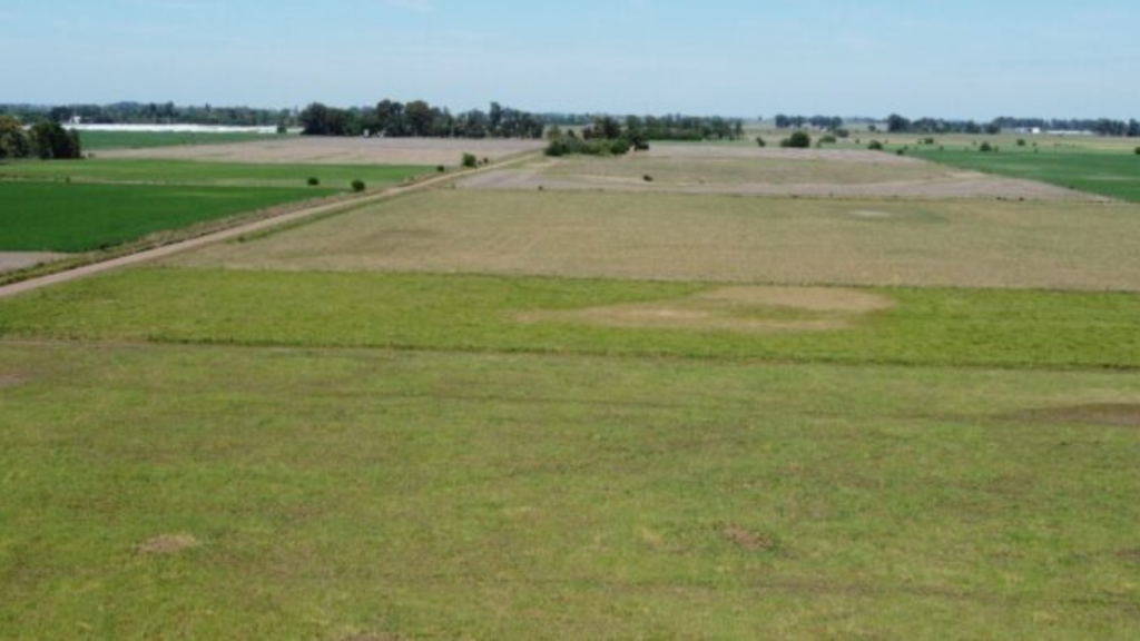 Perspectiva climática: «Se observan fuertes señales que la Campaña 2026/2027 se desarrollaría en un episodio de “El Niño”