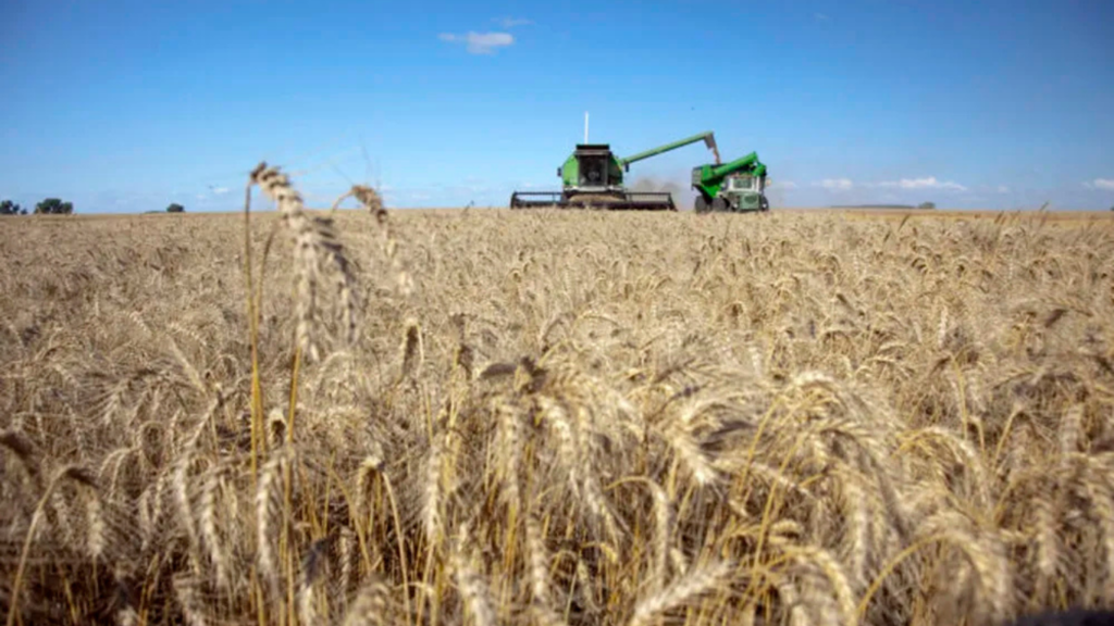 Oficializan la reducción de las retenciones para el agro y los biocombustibles