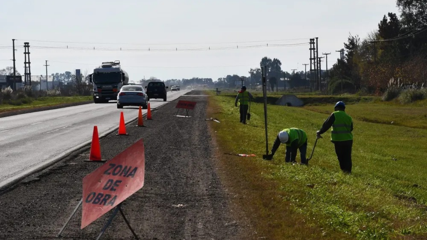 Buscan que se puedan sembrar 50.000 hectáreas al costado de rutas nacionales