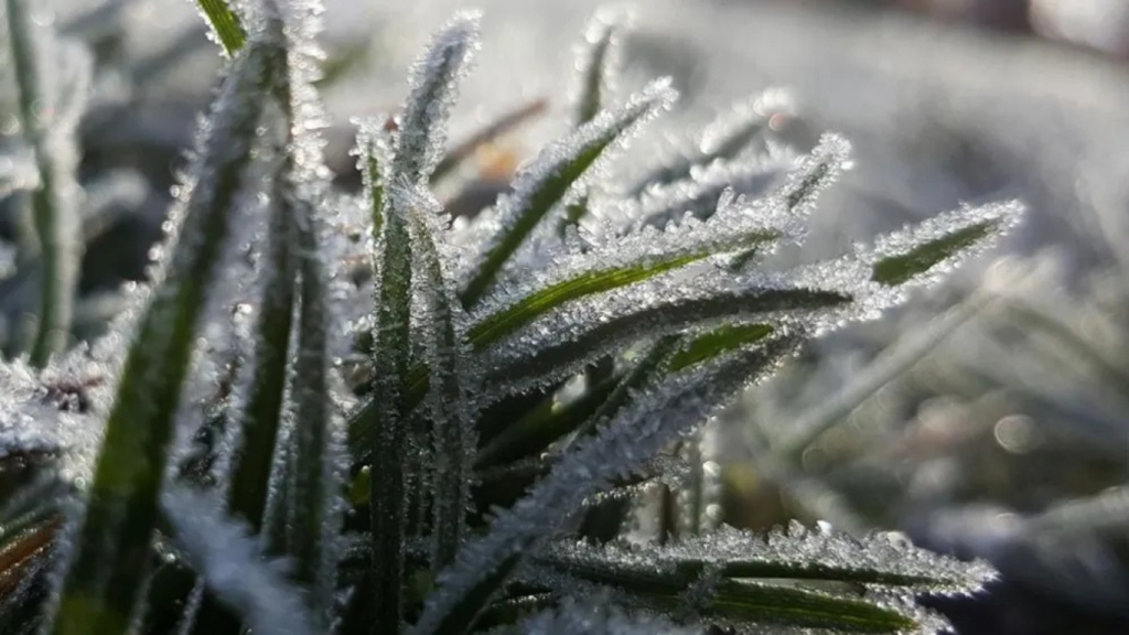 Semana con fuertes lluvias y un ingreso de aire frío: heladas y marcas de -5 grados en el interior bonaerense