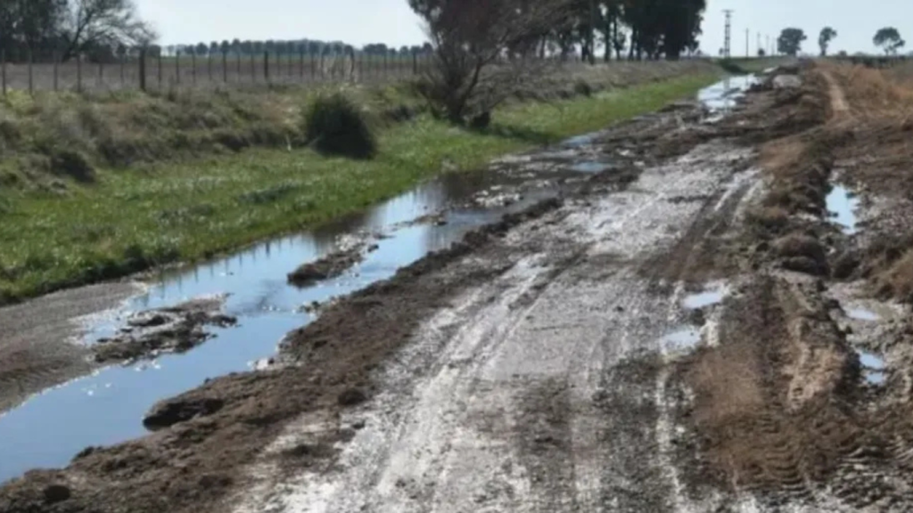 Caminos rurales: el 79% de los productores bonaerenses dicen que están en malas condiciones