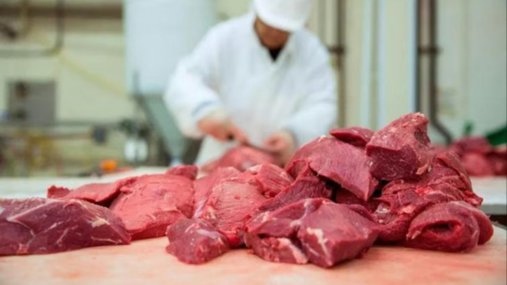 La carne vacuna marcó un nuevo mínimo de 45,8 kilos por habitante
